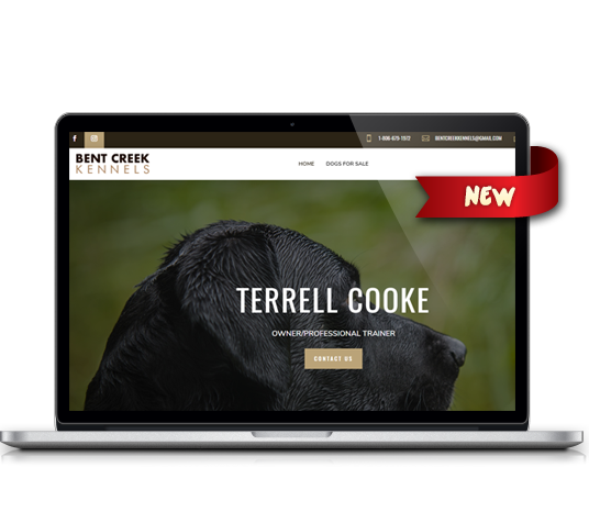 Bent Creek Kennels - Amarillo Website Design, Amarillo Web Design, Amarillo Web Designers, Amarillo Webpage Designer